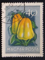 SD)HUNGARY. FRUIT. CASHEW. USED. - Lotes & Colecciones