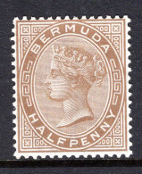 Bermuda 1888 QV - Wmk. Crown CC - P.14 - ½d Stone HM (SG 19) - Bermuda