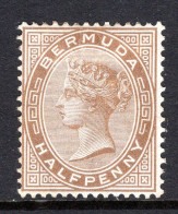 Bermuda 1888 QV - Wmk. Crown CC - P.14 - ½d Stone HM (SG 19) - Patchy Gum - Bermuda