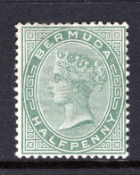 Bermuda 1883-94 QV - Wmk. Crown CA - P.14 - ½d Dull Green HM (SG 21) - Bermuda