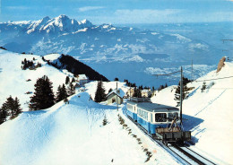 Arth - Rigi  Bahn - Arth