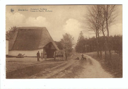 Westerlo   Westerloo  Molenhoef , Aschberg   Ferme Du Moulin , Aschberg - Westerlo