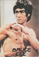 Bruce Lee - Kung Fu - Martial