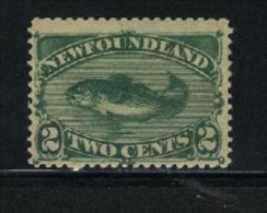 Newfoundland HINGED  Sc 47  Codfish - 1865-1902