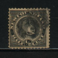 Newfoundland USED  Sc 58   Newfoundland Dog - 1865-1902