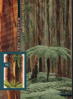 Australia MaxiCard Sc 1534 Trees - Storia Postale