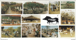 Tendaba Camp Postcard Travelled 1997 Serekunda Pmk B181101 - Gambie