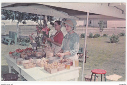 Selling Vegetables And Fruits By The Road, Pennsylvania Dutch Country Postcard Unused B170602 - Amerika