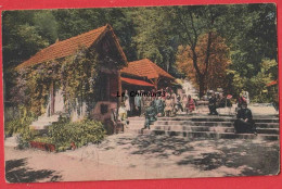 39 - BEAUME LES MESSIEURS---Le Chalet Du Guide----colorisée - Baume-les-Messieurs