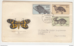 Czechoslovakia, Animals Series 1955 (Butterfly On Cover) FDC Travelled B190320 - Schmetterlinge