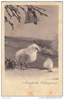 Easter Old Postcard Travelled 1940 Bb151106 - Greetings From...
