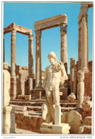 Leptis Magna Old Unused Postcard M151030 - Libya