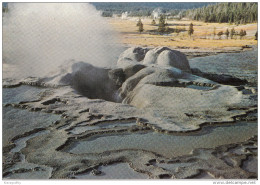 Old Faithful Cone Old Postcard Travelled 1985 Bb151030 - Yellowstone