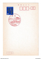 Japan 1981 Postal Stationery Postcard Fish Pictorial Postmark Not Posted B210420 - Postcards