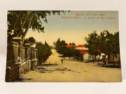 JUDAICA PALESTINE / ISRAEL RARE POSTCARD  RISHON-LE-ZION A STREET IN THE COLONY #43 MOSHE ORDMANN 1925. - Palestine