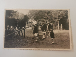 Enfants Grand-ducaux De Luxembourg - Koninklijke Familie