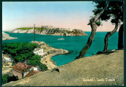 MT238 - TERMOLI ISOLE TREMITI - CAMPOBASSO - 1950 CIRCA - Other & Unclassified