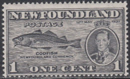Newfoundland MNH Unitrade # 233a Codfish Value $ 30.oo - 1908-1947