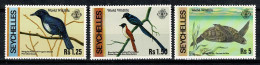 Seychelles - 1978 Yv. 402**, 403**, 404**, MNH Vogels, Oiseaux, Birds, Vögel - Seychelles (1976-...)