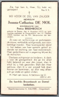 Bidprentje Dworp - De Mol Joanna Catharina (1870-1945) - Devotieprenten