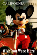 4-10-2023 (3 U 20) USA (posted To Australia 1995) Michey Mouse - Autres & Non Classés