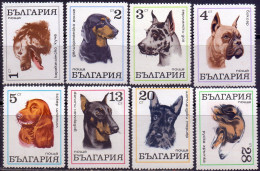 BULGARIA -  DOGS - **MNH - 1970 - Cani