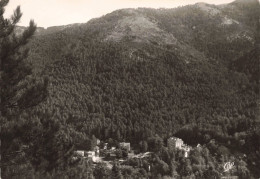 FRANCE - Vizzanova - Vue Générale Et La Forêt - Carte Postale Ancienne - Sonstige & Ohne Zuordnung