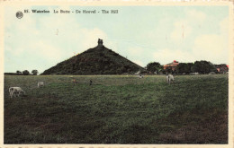 BELGIQUE - Waterloo - LA Butte - Colorisé - Carte Postale Ancienne - Waterloo