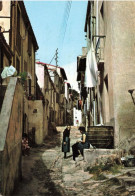 FRANCE - Collioure - Vieille Rue - Colorisé -  Carte Postale Ancienne - Collioure