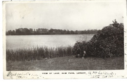 Irlande  Lurgan -  View  Of Lake , New Park , Lurgan - Autres & Non Classés