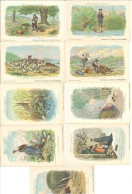 DORE Gustave - Lot De 9 CPA - Fables De Lafontaine - Au Verso : Texte Complet De La Fable - Pub Solution Pautauberge (5) - Other & Unclassified