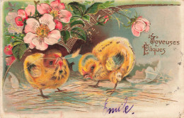 FÊTES ET VOEUX - Joyeuses Pâques - Poussins - Carte Postale Ancienne - Ostern