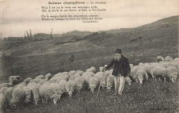 Scènes Champêtres , Le Troupeau * Saône Et Loire 71 * Berger Et Moutons - Andere & Zonder Classificatie