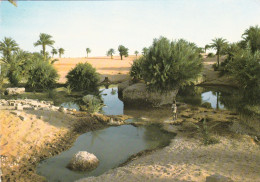 Tchad Point D'eau Près De Faya BET - Chad