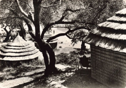 GRECE - Paleo - Vue Du Village - Carte Postale Ancienne - Griechenland