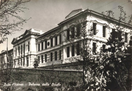 ITALIE - Buja - Palazzo Delle Scuole - Carte Postale Ancienne - Udine