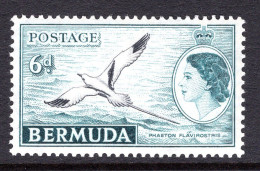 Bermuda 1953-62 QEII Pictorial - 6d White-tailed Tropicbird MNH (SG 143) - Bermuda
