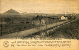 Belgique - Brabant Wallon - Waterloo - Panorama Du Champ De Bataille - Waterloo