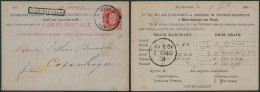 EP Au Type 10ctm Rouge Obl Ambulant "Midi 6" (1882) + Griffe Encadrée MARCHIENNES > Copenhagen (Danemark) / Repiquage - Ambulantes