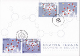 4423/24°(BL216) - Cristaux Radiographiés - Émission Commune Avec La Slovénie / Gezamenlijke Uitgifte Met Slovenië - Autres & Non Classés