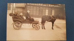 Carte Photo ,berck Attelage De Cheval Devant La Brasserie De L'esplanade - Berck