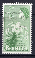 Bermuda 1953-62 QEII Pictorials - 1½d Easter Lily Used (SG 137) - Bermuda
