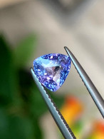 Joli Trillon En Tanzanite Corflower (Bleu Mauve). - Otros & Sin Clasificación