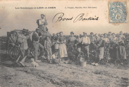 CPA 41 LES VENDANGES EN LOIR ET CHER - Autres & Non Classés