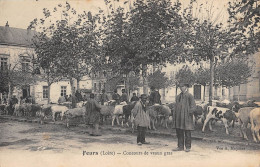 CPA 41 FEURS / CONCOURS DE VEAUX GRAS - Altri & Non Classificati