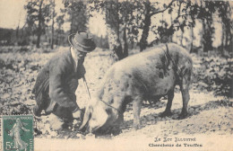 CPA 46 LE LOT / CHERCHEUR DE TRUFFES - Autres & Non Classés