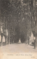 Avranches * Jardin De L'évêché , Allée Des Tilleuls * Route Chemin - Avranches