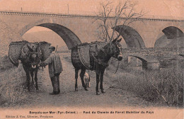 CPA 66 BANYULS SUR MER / PONT DU CHEMIN DE FER ET MULETIER DU PAYS / Cpa émail - Other & Unclassified