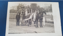 Carte Photo ,attelage De Cheval , Decoré - Cafes