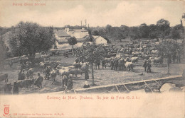 CPA 79 ENVIRONS DE NIORT / PRAHECQ / UN JOUR DE FOIRE - Autres & Non Classés